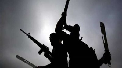 خبير مكافحة الإرهاب: بيان القوات المسلحة يؤكد على إصرارها لتطهير سيناء