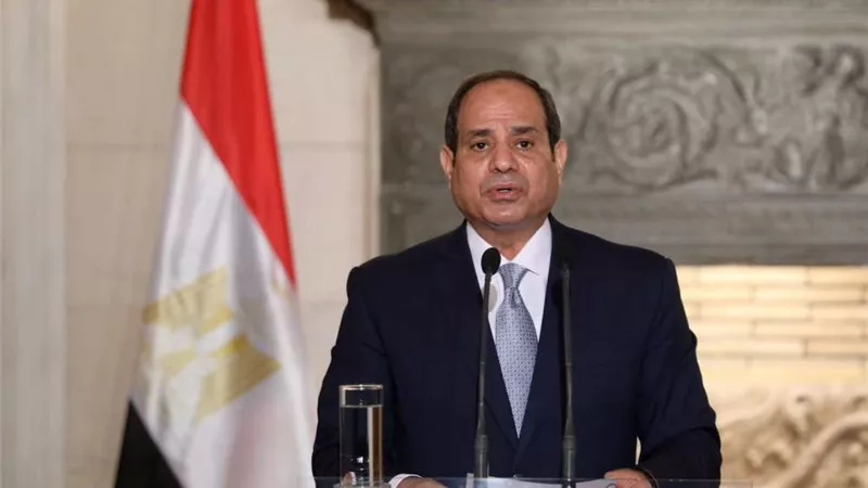 الرئيس السيسي: أنا مسؤول أمام الله عن كل بيت وأسرة.. فيديو