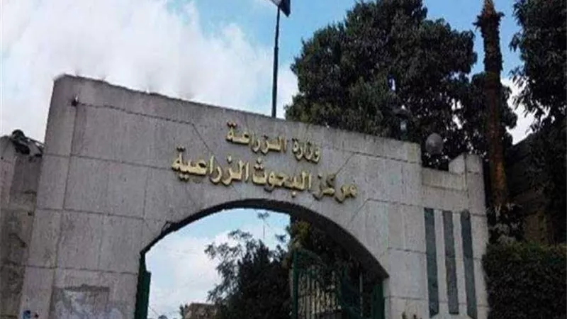 تعاون مصري برازيلي في البحوث الرزراعية والثروة الحيوانية