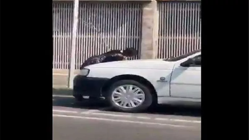 مشهد مرعب.. طفل يتضرع ألما بسبب 
