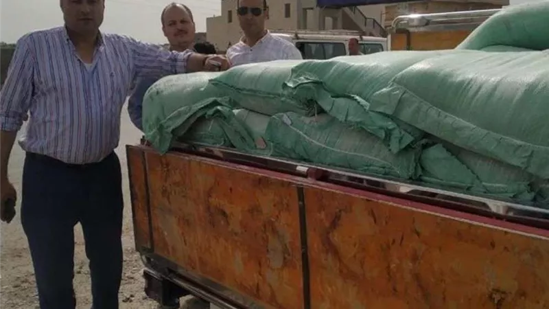 ضبط 2 طن قمح و40 شيكارة دقيق مدعم في البحيرة