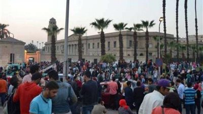 فيديو| 