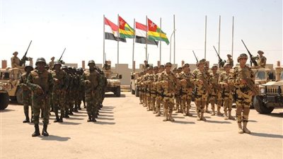 المتحدث العسكري: الاستراتيجية الوطنية لمكافحة الإرهاب نتاج تكامل الجهود الأمنية والتنموية.. فيديو