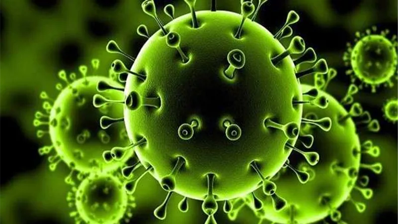 الأرجنتين تُسجل أول حالة إصابة بفيروس كورونا
