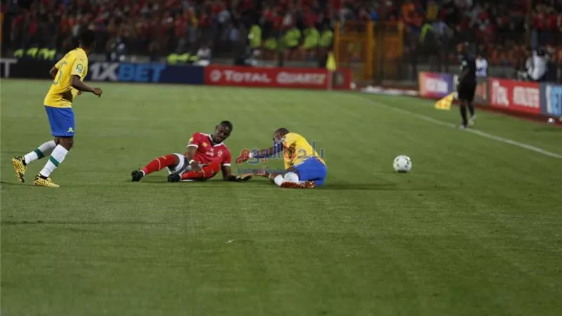 لاعب صن داونز: 