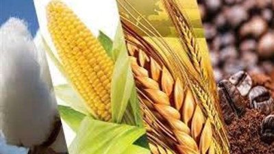 متحدث الزراعة: منظومة الذرة من المنظومات الهامة التي نستورد منه كميات كبيرة من الخارج (فيديو)