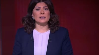 أمانى الخياط تكشف تفاصيل لقاء عناصر إخوانية برئيس إدارة الهجرة التركية