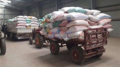 البنك الزراعي: موسم توريد القمح 2022 يشهد نجاحا غير مسبوق.. فيديو