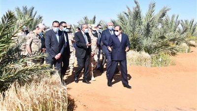 الرئيس السيسي: دي أسعار من سنتين ثلاثة..يعنى المليون فدان دول يخشوا في 250 مليار جنيه..فيديو
