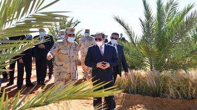 الرئيس السيسي: كل إجراء معملنهوش من 40 و 50 سنة بندفع تمنه دلوقتي..فيديو