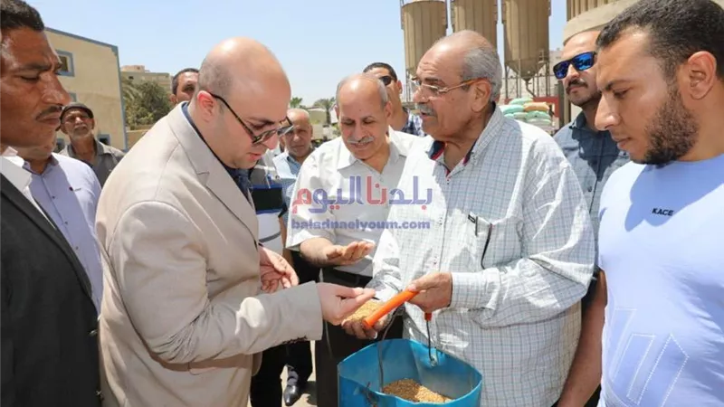 محافظ بني سويف يتفقد مجمع مطاحن مصر الوسطي لمتابعة توريد واستلام القمح