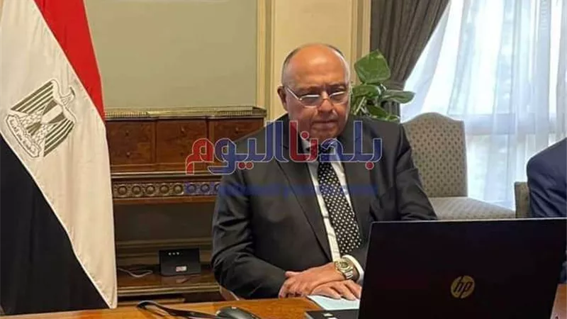 مصر تؤكد أهمية الحل السلمي للنزاع في أوكرانيا