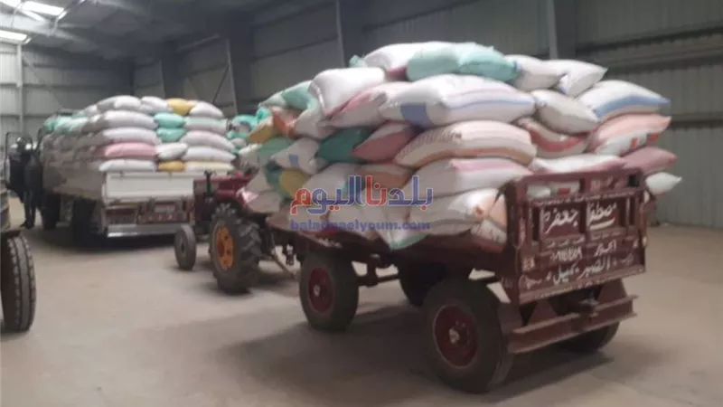 البنك الزراعي: موسم توريد القمح 2022 يشهد نجاحا غير مسبوق.. فيديو