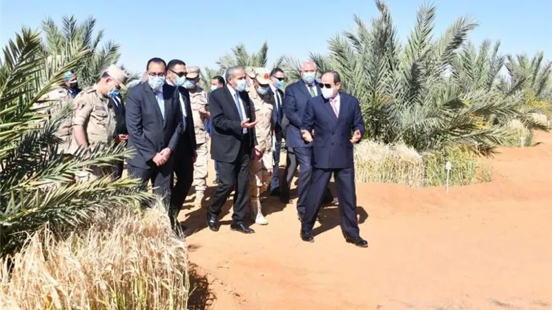 مدير مشروع مستقبل: مصر تستورد 2.5 مليار دولار سنويا وتستهلك 3 ملايين طن سكر..فيديو