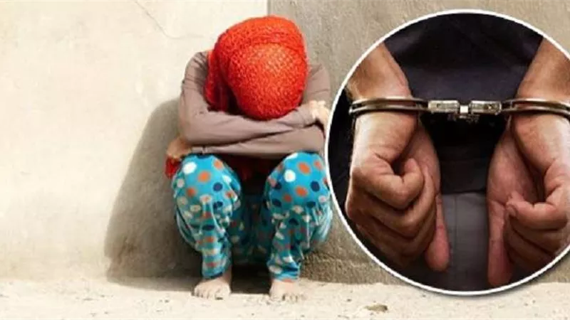 محاكمة المتهم بهتك عرض طفلة في المعصرة بعد 