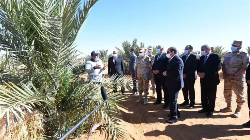 الرئيس السيسي: 