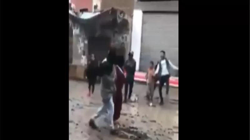 شاهد 