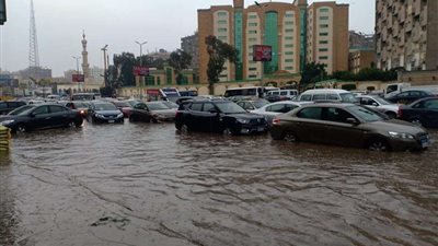 فيديو| 