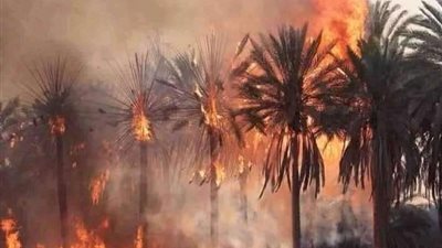 إخماد نيران حريق نشب بقطعة أرض زراعية في طما بسوهاج