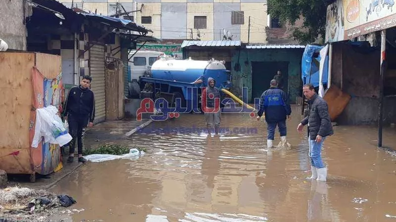 بعد انتهاء عاصفة التنين.. حصاد موجة الطقس السيء في محافظة المنوفية