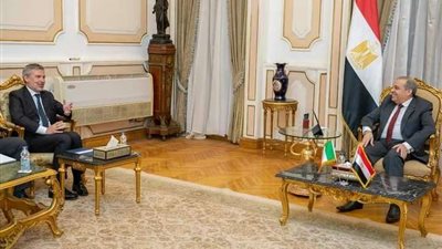 مرسي يبحث مع السفير الإيطالى بالقاهرة التعاون مع الشركات الإيطالية