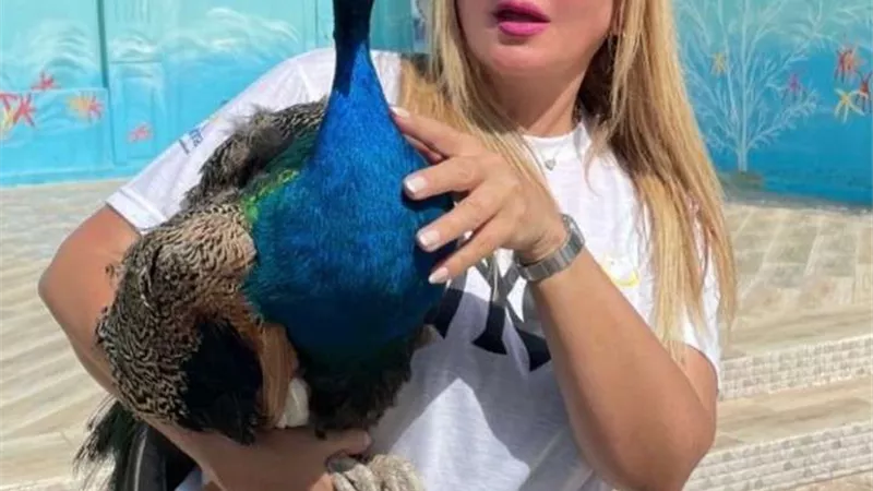 أحدث ظهور لندى بسيوني بجانب طاوس