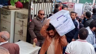 صور.. وصول نتائج فرز محاكم حلوان إلى المحامين