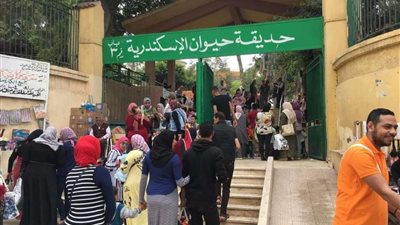 رئيس الإدارة المركزية لحديقة الحيوان: منعنا استيراد القرود منذ 15 عاما لتشابه أمراضها مع الإنسان