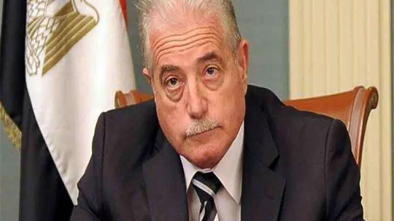 محافظ جنوب سيناء: 