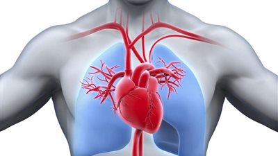 8 خطوات تساعد على تقوية القلب.. تعرف عليها