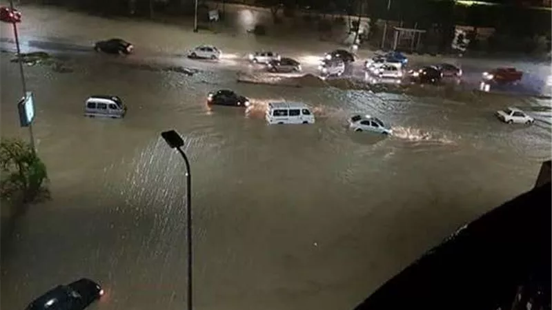خبير مناخ: القطاع الزراعي حقق مكتسبات من موجة الأمطار رغم حدتها