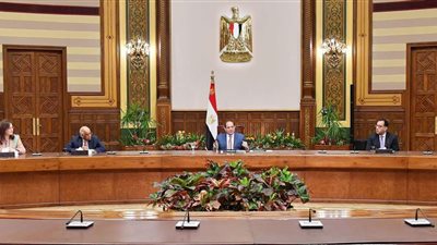 السيسي: الدولة لم تخف أي معلومات عن المواطن والبيانات الصادرة تعكس الواقع