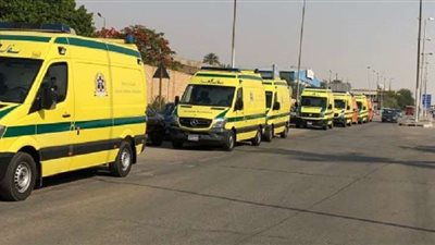 مصرع وإصابة 10 أشخاص فى حادث تصادم بالمنوفية