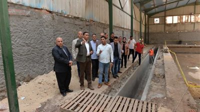 محافظ الدقهلية يتفقد مبني نزل الشباب باستاد المنصورة الرياضي وأعمال تطوير حمام سباحة التربية والتعليم بالجلاء