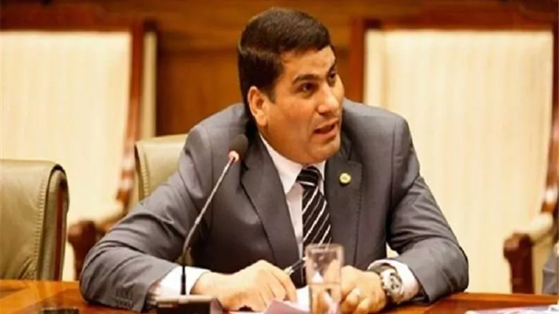 برلماني: الواقع العملي دائمًا يظهر الآثار الخاصة بأي قانون