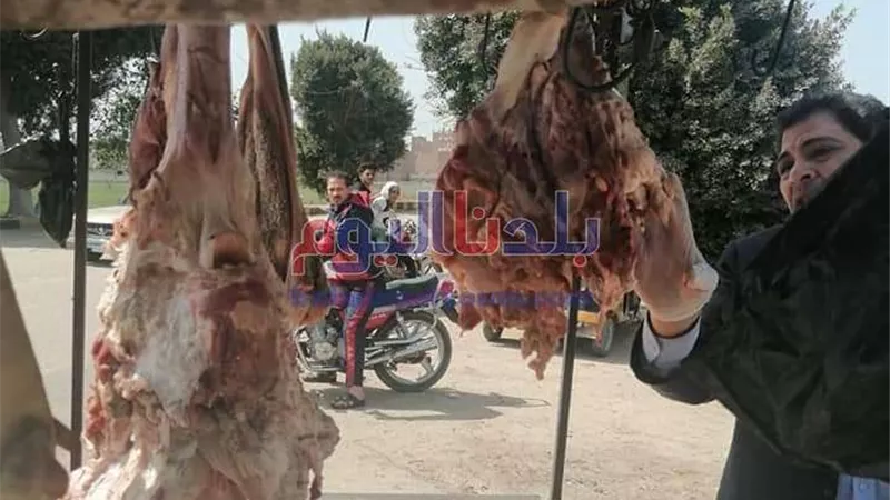 تحرير 224 محضرًا تموينيًا خلال أسبوع بسوهاج