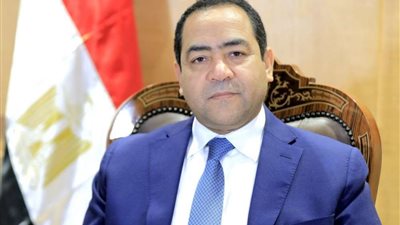 التنظيم والإدارة: إطلاق موقع الاستعلام عن الأحقية في الترقية 23 يونيو الجاري