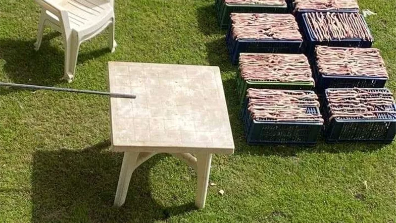 الطب البيطري: 