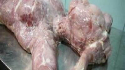 تكثيف الحملات التفتيشية والرقابية على الأسواق ومنافذ بيع اللحوم بالشرقية