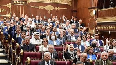 مجلس الشيوخ يوافق على خطة التنمية الاقتصادية والاجتماعية للعام المالى 2023/2022