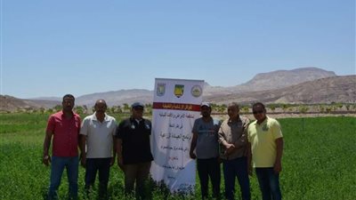 رئيس محطة بحوث جنوب سيناء: تنفيذ أنشطة إدماج أبناء سيناء بمنطقة وادي فيران