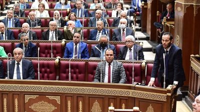 مجلس الشيوخ يوافق نهائيا على خطة التنمية الاقتصادية والاجتماعية للعام المالي 2022/2023