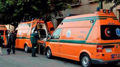 ارتفاع أعداد المصابين بالتسمم جراء تناول سمك مشوي بالشرقية لـ 45 شخصًا