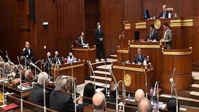 برلماني: تعديلات قانون الرياضة تعالج القصور التشريعي في قانون الرياضية 71