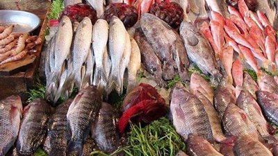 البلطي بـ60 ..  أسعار الأسماك اليوم  الثلاثاء 14 يونيو 2022
