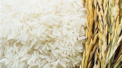 انخفاض أسعار الأرز الأبيض  في السوق المحلي المصري .. تفاصيل