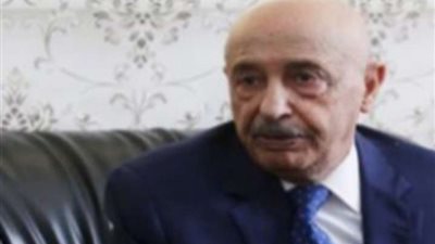 عقيلة صالح يبحث مع وليامز فى القاهرة مستجدات اجتماعات المسار الدستورى الليبى