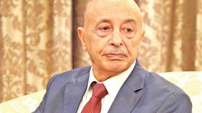خالد المشري وعقيلة صالح في القاهرة.. أجندة لقاء ليبي مرتقب