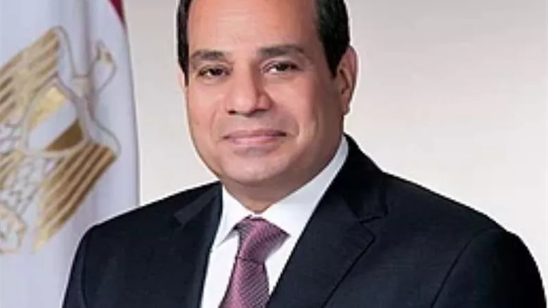 السيسي يعلن إطلاق شراكة مصرية أمريكية لتنظيم فعاليات حول التكيف المناخي في القارة الإفريقية