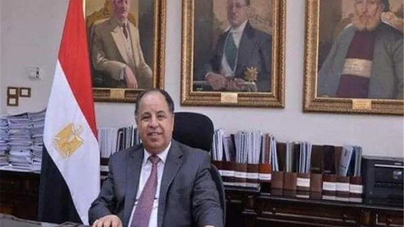 وزير المالية: تحقيق الأمن الغذائي الأفريقي أصبح أولوية قارية ملحة
